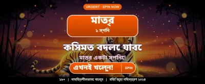 z5777 অ্যাপে সেরা গেম খেলুন banner image